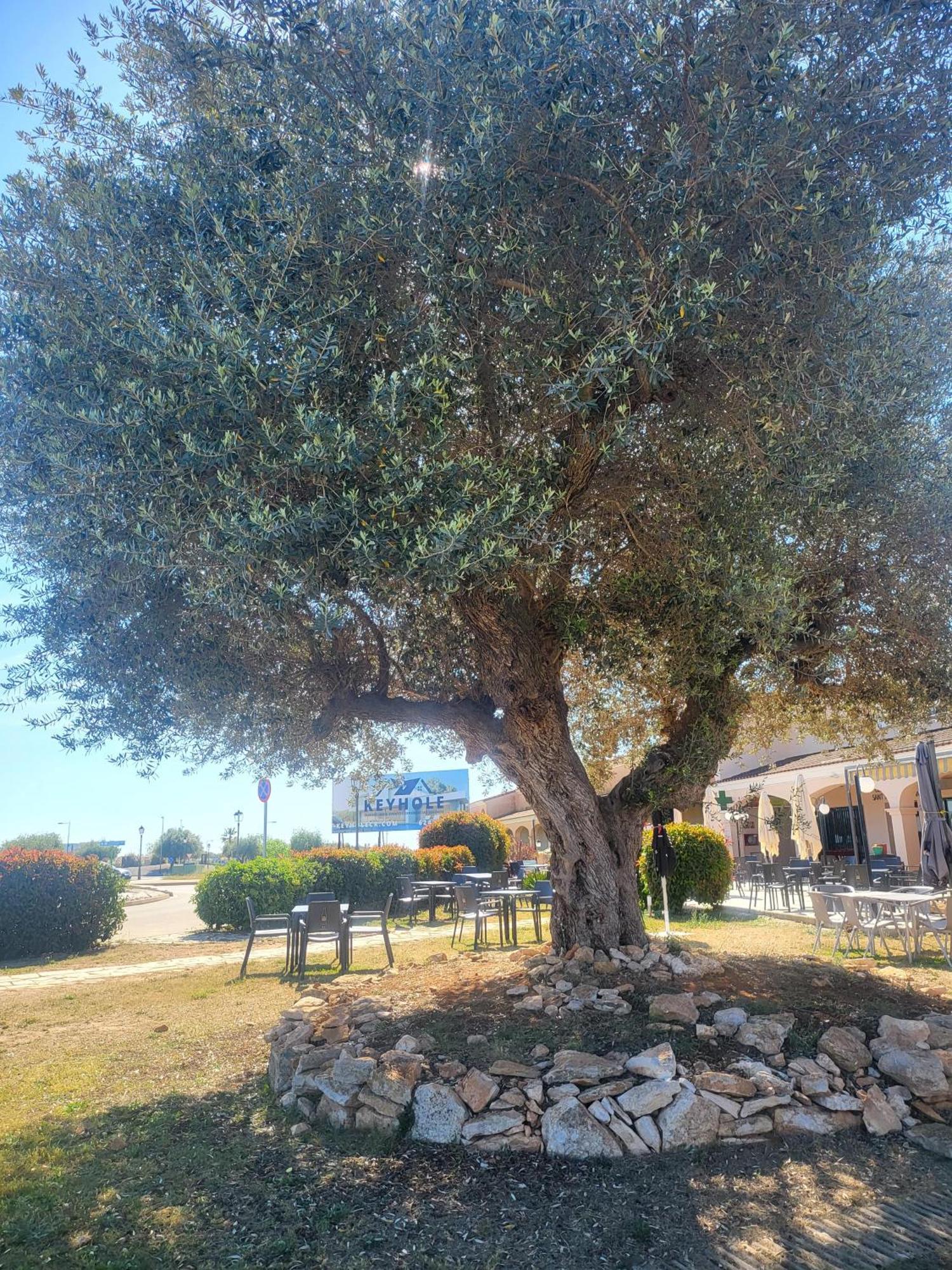 Appartement En Panoramica Golf